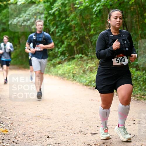 11.10.2026 - Bramfelder Halbmarathon 2026 Dr. Thomas Lammeyer http://msf.ph/oto/10817534 11.10.2026 09:57:49 Laufen 585, 75 meine-sportfotos.de