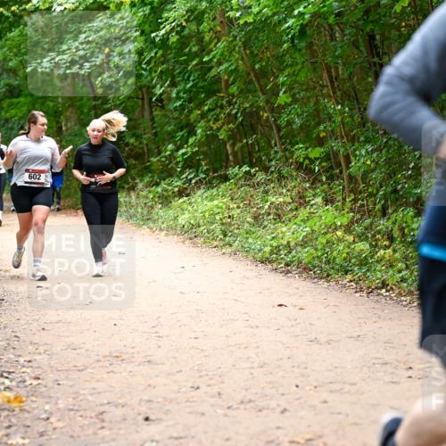 11.10.2026 - Bramfelder Halbmarathon 2026 Dr. Thomas Lammeyer http://msf.ph/oto/10817573 11.10.2026 09:57:55 Laufen 357, 602 meine-sportfotos.de