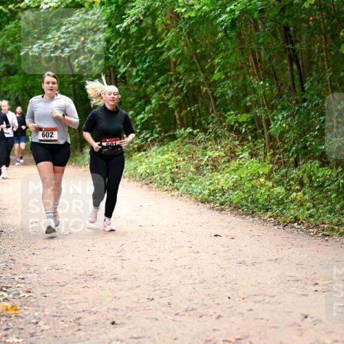 11.10.2026 - Bramfelder Halbmarathon 2026 Dr. Thomas Lammeyer http://msf.ph/oto/10817579 11.10.2026 09:57:56 Laufen 200, 602, 601 meine-sportfotos.de