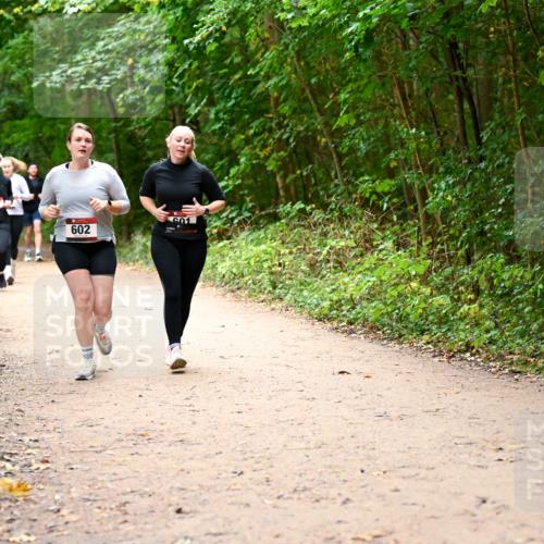 11.10.2026 - Bramfelder Halbmarathon 2026 Dr. Thomas Lammeyer http://msf.ph/oto/10817580 11.10.2026 09:57:56 Laufen 357, 602 meine-sportfotos.de
