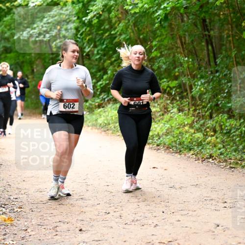 11.10.2026 - Bramfelder Halbmarathon 2026 Dr. Thomas Lammeyer http://msf.ph/oto/10817587 11.10.2026 09:57:57 Laufen 602, 601 meine-sportfotos.de