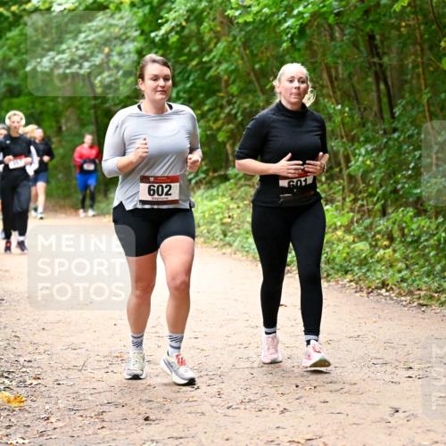 11.10.2026 - Bramfelder Halbmarathon 2026 Dr. Thomas Lammeyer http://msf.ph/oto/10817589 11.10.2026 09:57:57 Laufen 602, 601 meine-sportfotos.de
