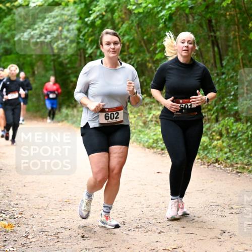11.10.2026 - Bramfelder Halbmarathon 2026 Dr. Thomas Lammeyer http://msf.ph/oto/10817591 11.10.2026 09:57:58 Laufen 602 meine-sportfotos.de