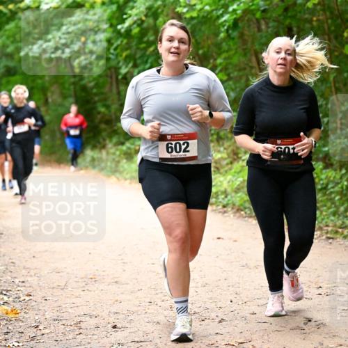 11.10.2026 - Bramfelder Halbmarathon 2026 Dr. Thomas Lammeyer http://msf.ph/oto/10817593 11.10.2026 09:57:58 Laufen 602 meine-sportfotos.de