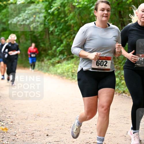 11.10.2026 - Bramfelder Halbmarathon 2026 Dr. Thomas Lammeyer http://msf.ph/oto/10817596 11.10.2026 09:57:58 Laufen 602, 601 meine-sportfotos.de