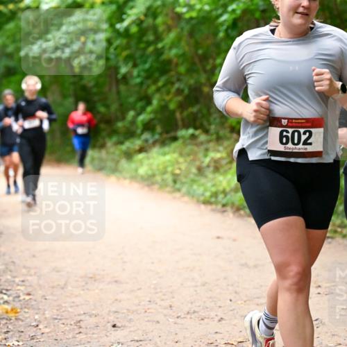 11.10.2026 - Bramfelder Halbmarathon 2026 Dr. Thomas Lammeyer http://msf.ph/oto/10817598 11.10.2026 09:57:59 Laufen 33, 602, 35, 601 meine-sportfotos.de