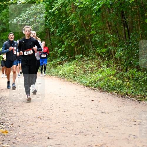 11.10.2026 - Bramfelder Halbmarathon 2026 Dr. Thomas Lammeyer http://msf.ph/oto/10817606 11.10.2026 09:58:00 Laufen 216, 151, 357, 409 meine-sportfotos.de