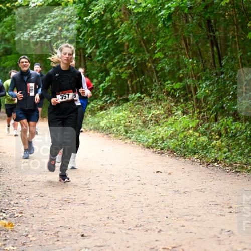 11.10.2026 - Bramfelder Halbmarathon 2026 Dr. Thomas Lammeyer http://msf.ph/oto/10817610 11.10.2026 09:58:01 Laufen 216, 151, 357, 19 meine-sportfotos.de