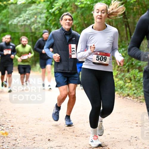 11.10.2026 - Bramfelder Halbmarathon 2026 Dr. Thomas Lammeyer http://msf.ph/oto/10817628 11.10.2026 09:58:03 Laufen 151, 509, 357 meine-sportfotos.de