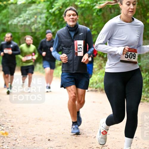 11.10.2026 - Bramfelder Halbmarathon 2026 Dr. Thomas Lammeyer http://msf.ph/oto/10817630 11.10.2026 09:58:04 Laufen 151, 509 meine-sportfotos.de