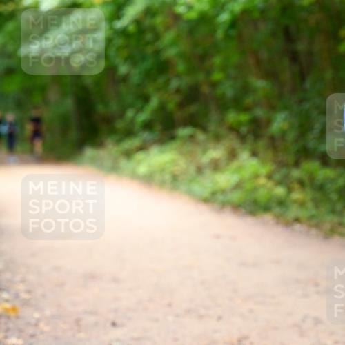 11.10.2026 - Bramfelder Halbmarathon 2026 Dr. Thomas Lammeyer http://msf.ph/oto/10817670 11.10.2026 09:58:10 Laufen  meine-sportfotos.de