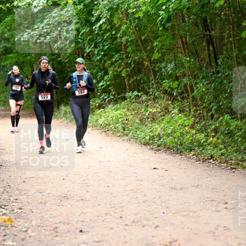 11.10.2026 - Bramfelder Halbmarathon 2026 Dr. Thomas Lammeyer http://msf.ph/oto/10817717 11.10.2026 09:58:36 Laufen 742, 523, 187 meine-sportfotos.de