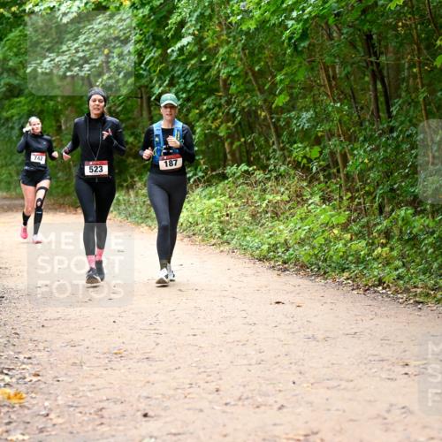 11.10.2026 - Bramfelder Halbmarathon 2026 Dr. Thomas Lammeyer http://msf.ph/oto/10817720 11.10.2026 09:58:37 Laufen 742, 187, 523 meine-sportfotos.de