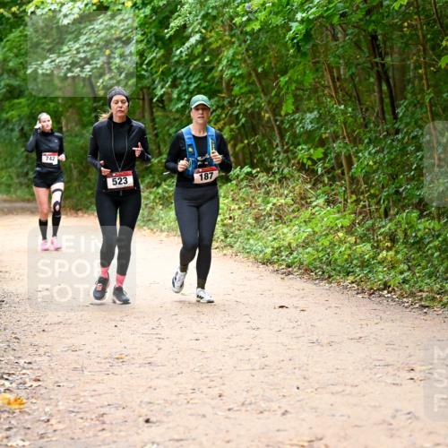11.10.2026 - Bramfelder Halbmarathon 2026 Dr. Thomas Lammeyer http://msf.ph/oto/10817724 11.10.2026 09:58:37 Laufen 742, 523, 187 meine-sportfotos.de