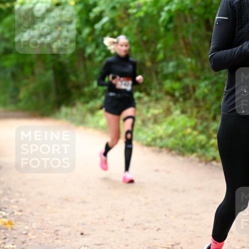 11.10.2026 - Bramfelder Halbmarathon 2026 Dr. Thomas Lammeyer http://msf.ph/oto/10817747 11.10.2026 09:58:40 Laufen 35, 523 meine-sportfotos.de
