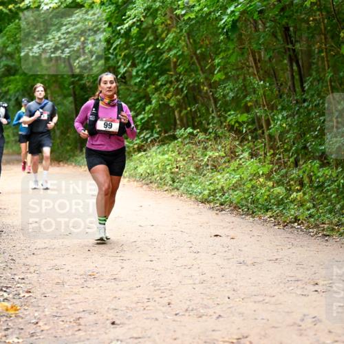 11.10.2026 - Bramfelder Halbmarathon 2026 Dr. Thomas Lammeyer http://msf.ph/oto/10817792 11.10.2026 09:58:56 Laufen 99 meine-sportfotos.de