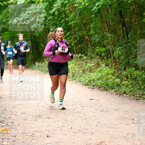 11.10.2026 - Bramfelder Halbmarathon 2026 Dr. Thomas Lammeyer http://msf.ph/oto/10817796 11.10.2026 09:58:56 Laufen 99 meine-sportfotos.de