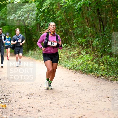 11.10.2026 - Bramfelder Halbmarathon 2026 Dr. Thomas Lammeyer http://msf.ph/oto/10817797 11.10.2026 09:58:57 Laufen 99 meine-sportfotos.de