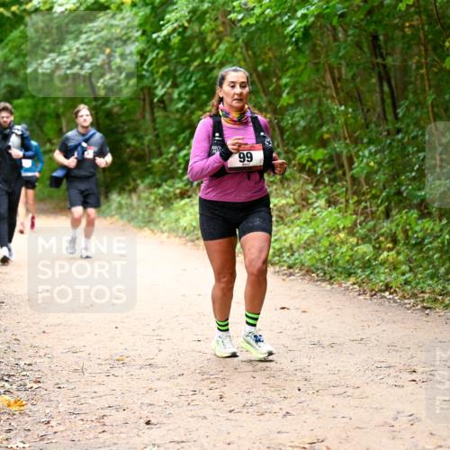11.10.2026 - Bramfelder Halbmarathon 2026 Dr. Thomas Lammeyer http://msf.ph/oto/10817800 11.10.2026 09:58:57 Laufen 99 meine-sportfotos.de