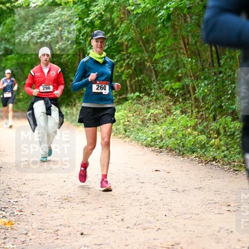 11.10.2026 - Bramfelder Halbmarathon 2026 Dr. Thomas Lammeyer http://msf.ph/oto/10817838 11.10.2026 09:59:03 Laufen 296, 260 meine-sportfotos.de