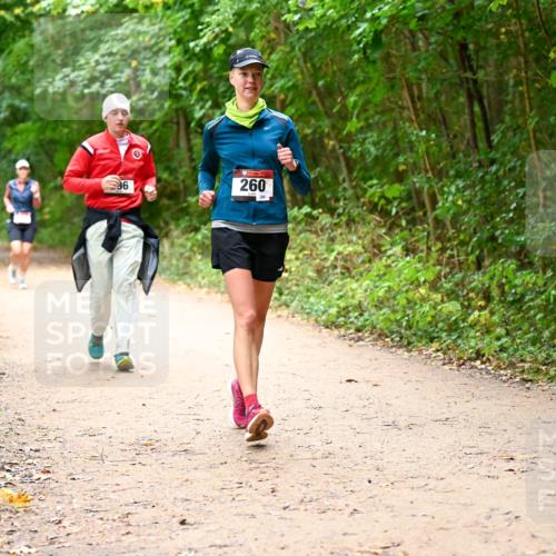 11.10.2026 - Bramfelder Halbmarathon 2026 Dr. Thomas Lammeyer http://msf.ph/oto/10817840 11.10.2026 09:59:03 Laufen 96, 260, 280 meine-sportfotos.de