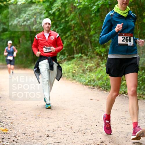 11.10.2026 - Bramfelder Halbmarathon 2026 Dr. Thomas Lammeyer http://msf.ph/oto/10817845 11.10.2026 09:59:05 Laufen 296, 260, 280 meine-sportfotos.de