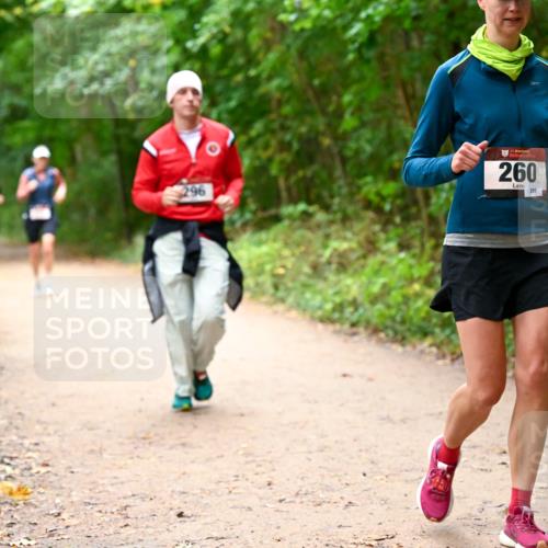 11.10.2026 - Bramfelder Halbmarathon 2026 Dr. Thomas Lammeyer http://msf.ph/oto/10817846 11.10.2026 09:59:05 Laufen 296, 260, 280 meine-sportfotos.de