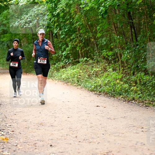 11.10.2026 - Bramfelder Halbmarathon 2026 Dr. Thomas Lammeyer http://msf.ph/oto/10817870 11.10.2026 09:59:08 Laufen 190, 212 meine-sportfotos.de