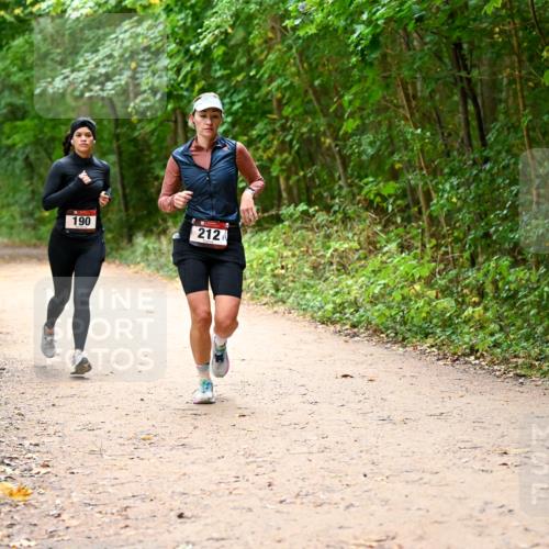 11.10.2026 - Bramfelder Halbmarathon 2026 Dr. Thomas Lammeyer http://msf.ph/oto/10817877 11.10.2026 09:59:09 Laufen 190, 212 meine-sportfotos.de