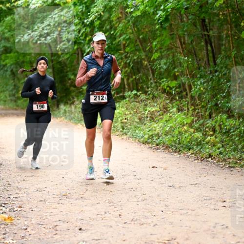 11.10.2026 - Bramfelder Halbmarathon 2026 Dr. Thomas Lammeyer http://msf.ph/oto/10817878 11.10.2026 09:59:10 Laufen 212, 190 meine-sportfotos.de