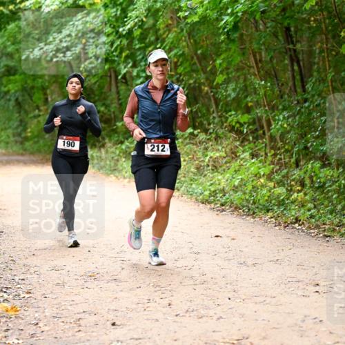 11.10.2026 - Bramfelder Halbmarathon 2026 Dr. Thomas Lammeyer http://msf.ph/oto/10817880 11.10.2026 09:59:10 Laufen 190, 212 meine-sportfotos.de