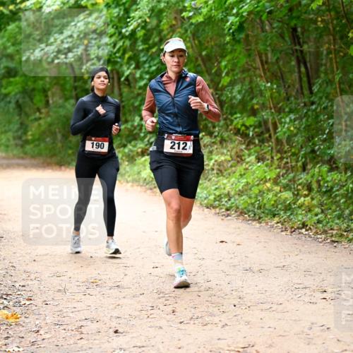 11.10.2026 - Bramfelder Halbmarathon 2026 Dr. Thomas Lammeyer http://msf.ph/oto/10817882 11.10.2026 09:59:10 Laufen 190, 212 meine-sportfotos.de
