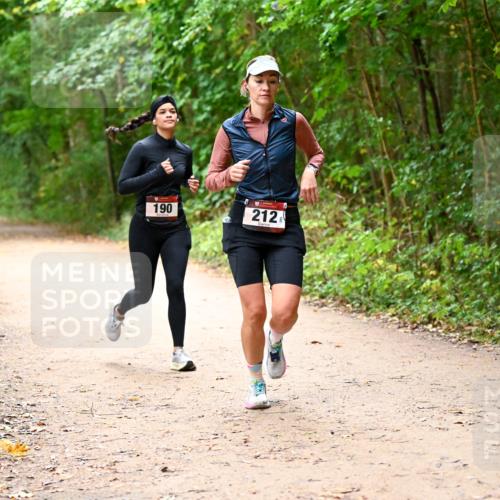 11.10.2026 - Bramfelder Halbmarathon 2026 Dr. Thomas Lammeyer http://msf.ph/oto/10817883 11.10.2026 09:59:10 Laufen 190, 212 meine-sportfotos.de