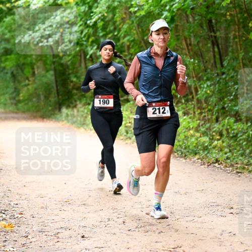 11.10.2026 - Bramfelder Halbmarathon 2026 Dr. Thomas Lammeyer http://msf.ph/oto/10817884 11.10.2026 09:59:11 Laufen 190, 212 meine-sportfotos.de