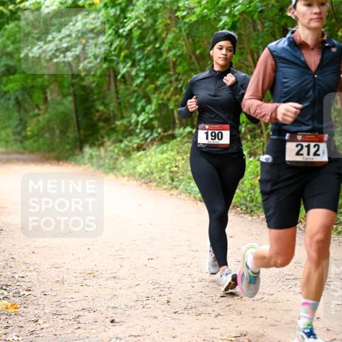 11.10.2026 - Bramfelder Halbmarathon 2026 Dr. Thomas Lammeyer http://msf.ph/oto/10817888 11.10.2026 09:59:11 Laufen 190, 212 meine-sportfotos.de