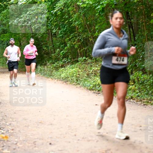 11.10.2026 - Bramfelder Halbmarathon 2026 Dr. Thomas Lammeyer http://msf.ph/oto/10817942 11.10.2026 09:59:34 Laufen 619, 474 meine-sportfotos.de