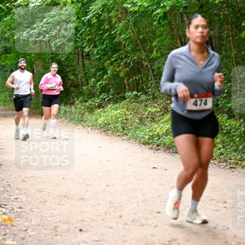 11.10.2026 - Bramfelder Halbmarathon 2026 Dr. Thomas Lammeyer http://msf.ph/oto/10817943 11.10.2026 09:59:35 Laufen 474 meine-sportfotos.de