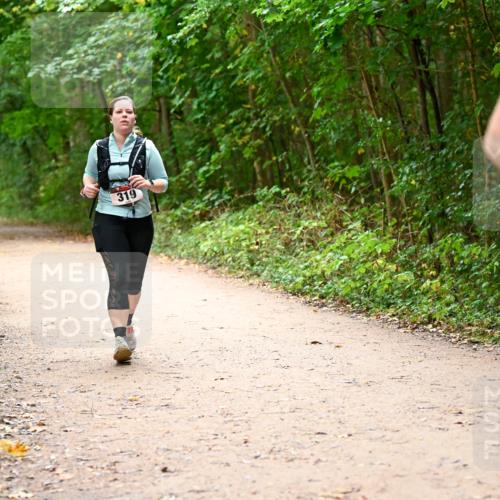 11.10.2026 - Bramfelder Halbmarathon 2026 Dr. Thomas Lammeyer http://msf.ph/oto/10817981 11.10.2026 09:59:40 Laufen 319 meine-sportfotos.de