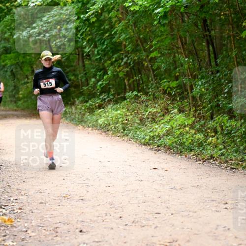11.10.2026 - Bramfelder Halbmarathon 2026 Dr. Thomas Lammeyer http://msf.ph/oto/10818003 11.10.2026 09:59:59 Laufen 515 meine-sportfotos.de