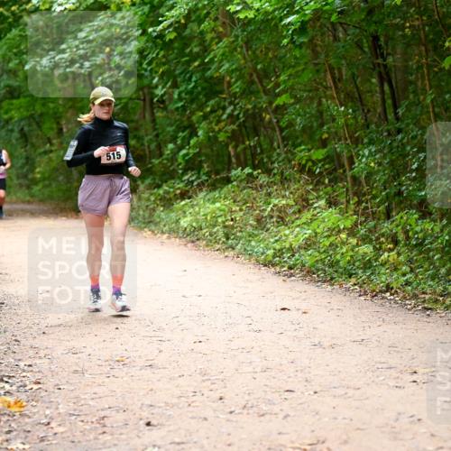 11.10.2026 - Bramfelder Halbmarathon 2026 Dr. Thomas Lammeyer http://msf.ph/oto/10818005 11.10.2026 09:59:59 Laufen 515 meine-sportfotos.de