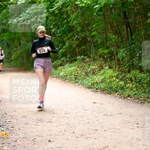 11.10.2026 - Bramfelder Halbmarathon 2026 Dr. Thomas Lammeyer http://msf.ph/oto/10818008 11.10.2026 10:00:00 Laufen 515 meine-sportfotos.de