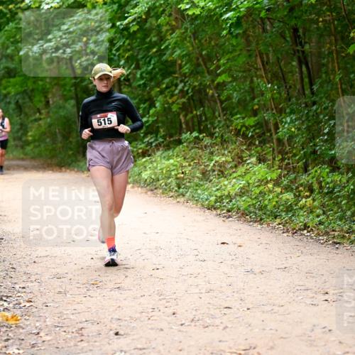 11.10.2026 - Bramfelder Halbmarathon 2026 Dr. Thomas Lammeyer http://msf.ph/oto/10818009 11.10.2026 10:00:00 Laufen 515 meine-sportfotos.de