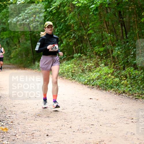 11.10.2026 - Bramfelder Halbmarathon 2026 Dr. Thomas Lammeyer http://msf.ph/oto/10818011 11.10.2026 10:00:00 Laufen 15 meine-sportfotos.de