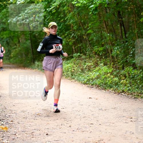 11.10.2026 - Bramfelder Halbmarathon 2026 Dr. Thomas Lammeyer http://msf.ph/oto/10818012 11.10.2026 10:00:00 Laufen 515 meine-sportfotos.de