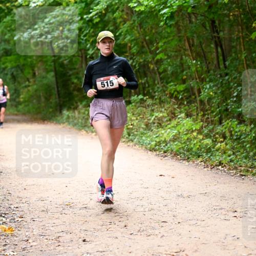 11.10.2026 - Bramfelder Halbmarathon 2026 Dr. Thomas Lammeyer http://msf.ph/oto/10818014 11.10.2026 10:00:00 Laufen 515 meine-sportfotos.de