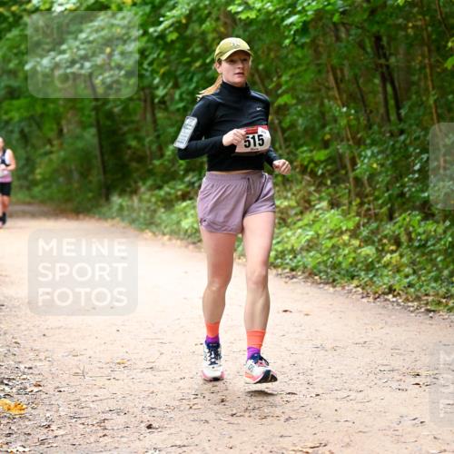 11.10.2026 - Bramfelder Halbmarathon 2026 Dr. Thomas Lammeyer http://msf.ph/oto/10818017 11.10.2026 10:00:01 Laufen 515 meine-sportfotos.de