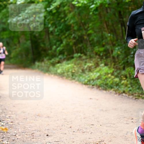 11.10.2026 - Bramfelder Halbmarathon 2026 Dr. Thomas Lammeyer http://msf.ph/oto/10818026 11.10.2026 10:00:02 Laufen 35, 279, 515 meine-sportfotos.de