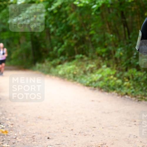 11.10.2026 - Bramfelder Halbmarathon 2026 Dr. Thomas Lammeyer http://msf.ph/oto/10818027 11.10.2026 10:00:02 Laufen 35, 279, 515 meine-sportfotos.de