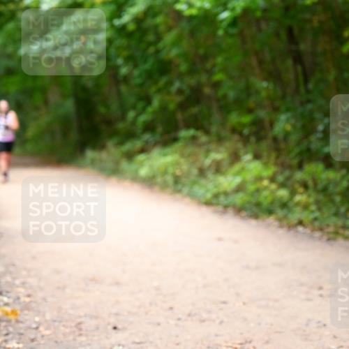 11.10.2026 - Bramfelder Halbmarathon 2026 Dr. Thomas Lammeyer http://msf.ph/oto/10818029 11.10.2026 10:00:02 Laufen 2953 meine-sportfotos.de