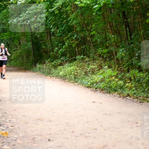 11.10.2026 - Bramfelder Halbmarathon 2026 Dr. Thomas Lammeyer http://msf.ph/oto/10818032 11.10.2026 10:00:03 Laufen 503, 547 meine-sportfotos.de